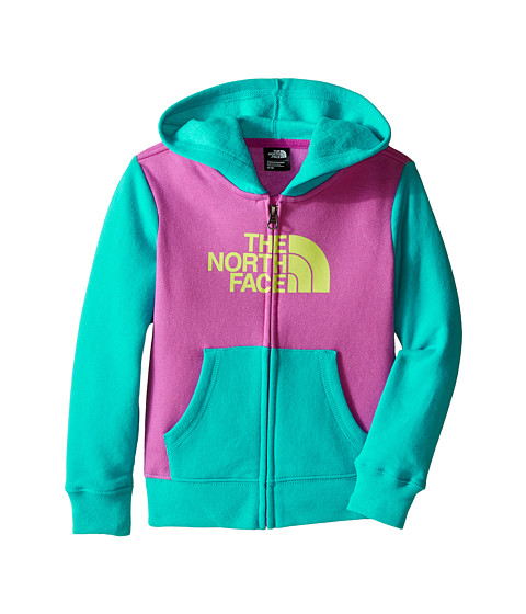 The North Face Kids Logowear Full Zip Hoodie (Toddler) 