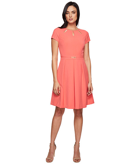 Ellen Tracy Fit and Flare Dress with Hardware and Cut Outs 