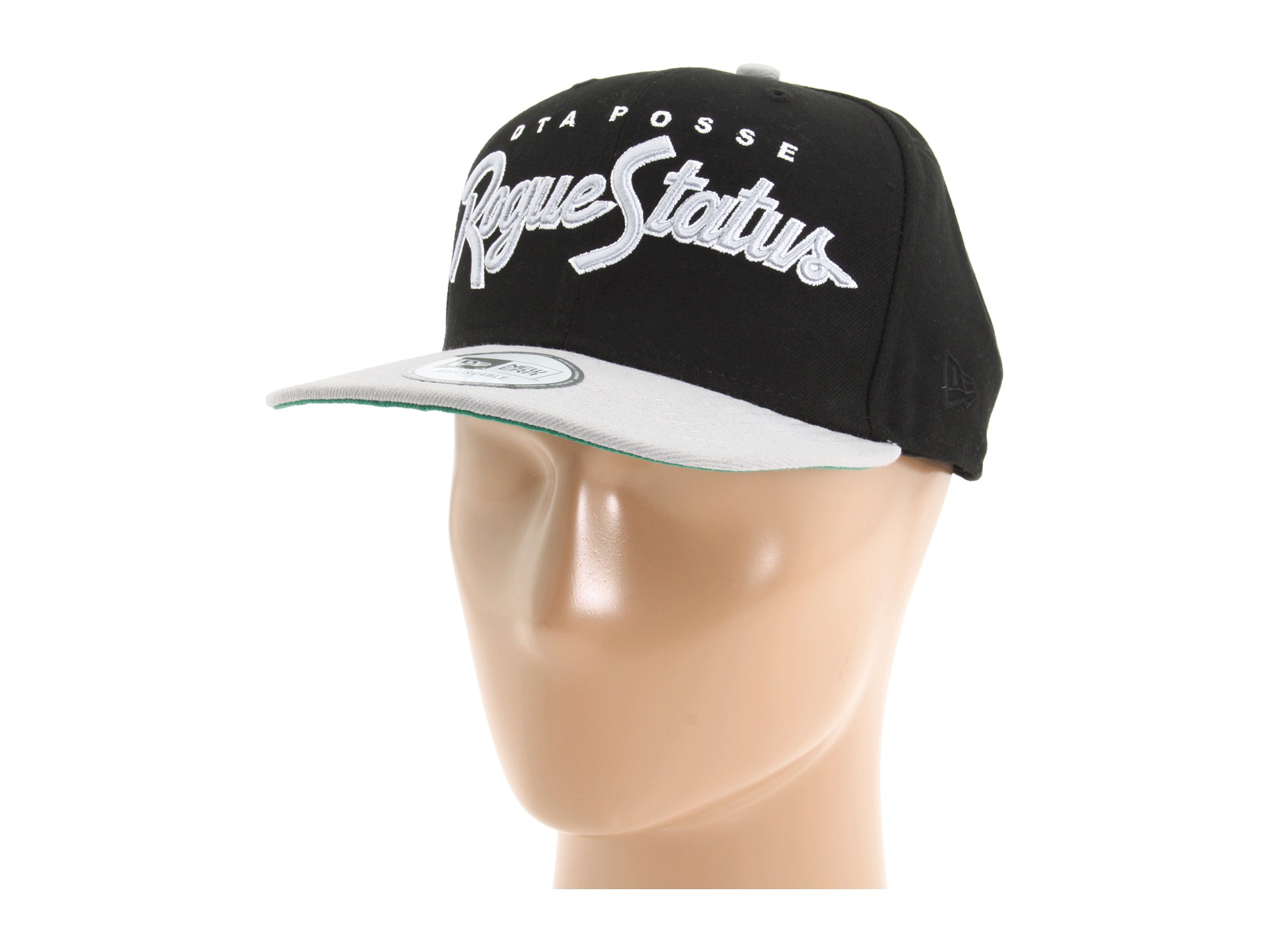 DTA secured by Rogue Status   Raided New Era® Snapback