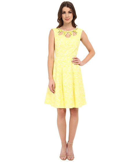 Adrianna Papell Cutot And Embellished Neckline Fit And Flare - 6pm.com