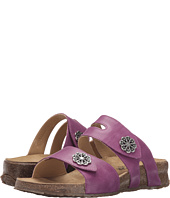 Haflinger - Pansy