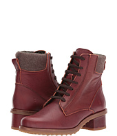 El Naturalista - Kentia N5105